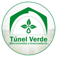 tunel verde